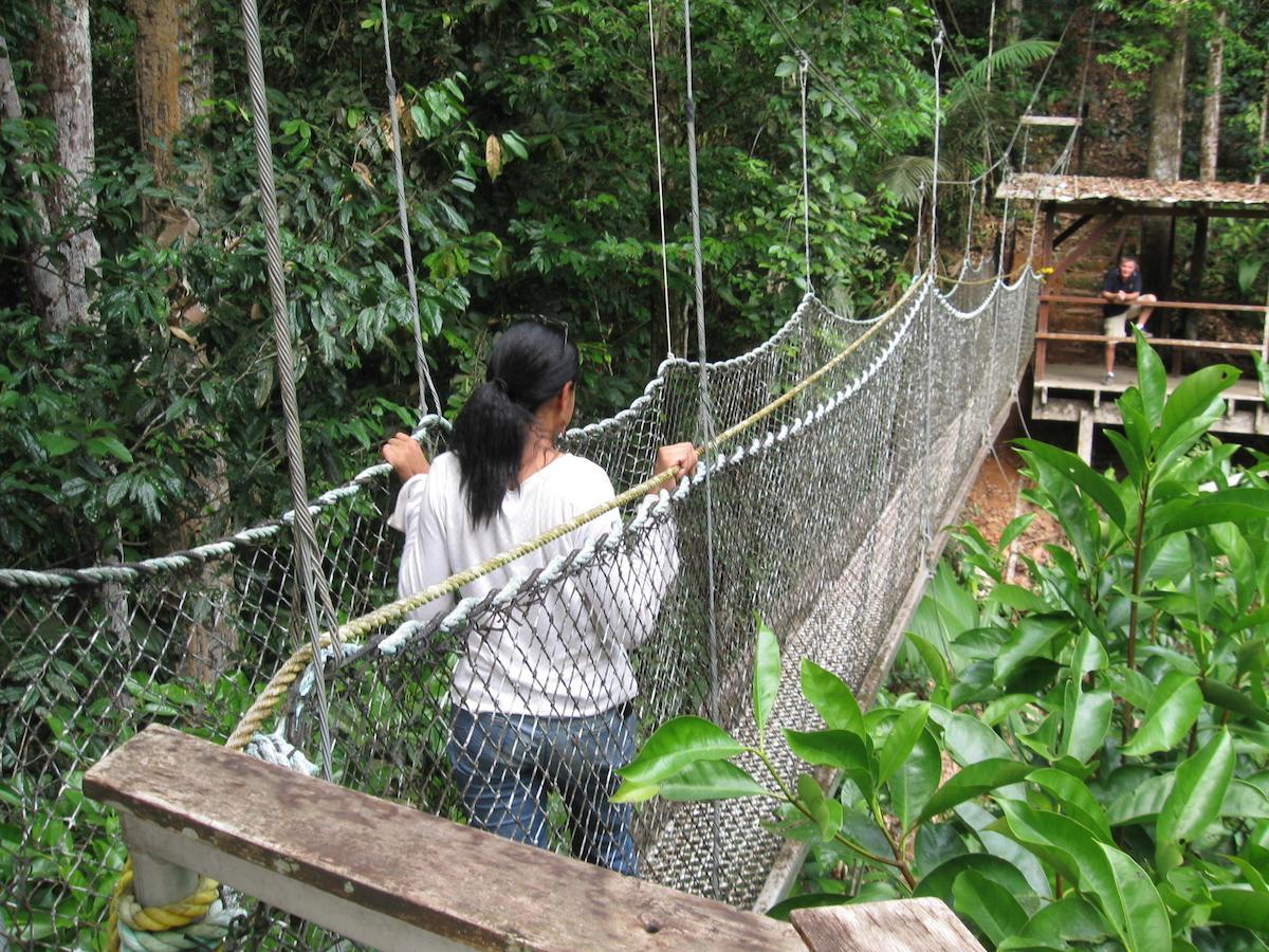 Iwokrama River Lodge Makari Экстерьер фото